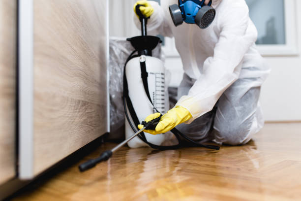 Best Ant Control Services  in Roosevelt, NJ