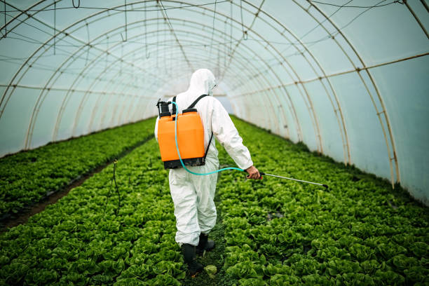 Pest Control for Restaurants in Roosevelt, NJ
