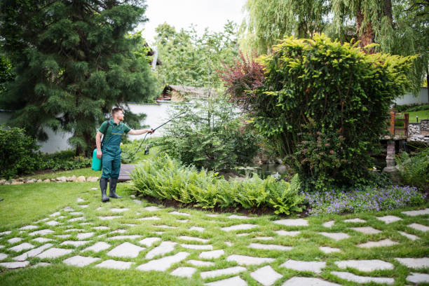 Best Pest Control Near Me  in Roosevelt, NJ
