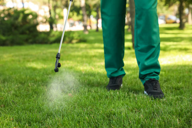 Best Affordable Pest Control Services  in Roosevelt, NJ