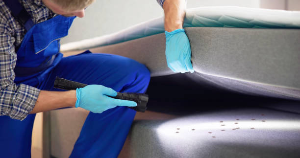 Best Affordable Pest Control Services  in Roosevelt, NJ