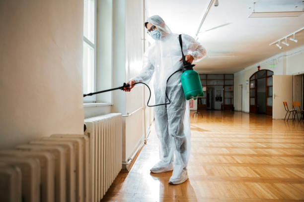 Best Local Pest Control Services  in Roosevelt, NJ