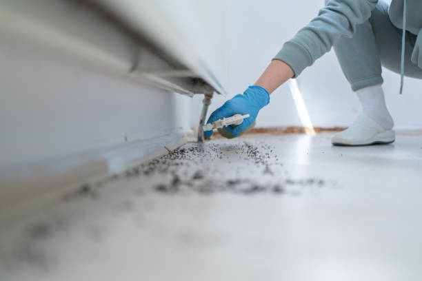 Reliable Roosevelt, NJ Pest Control Solutions